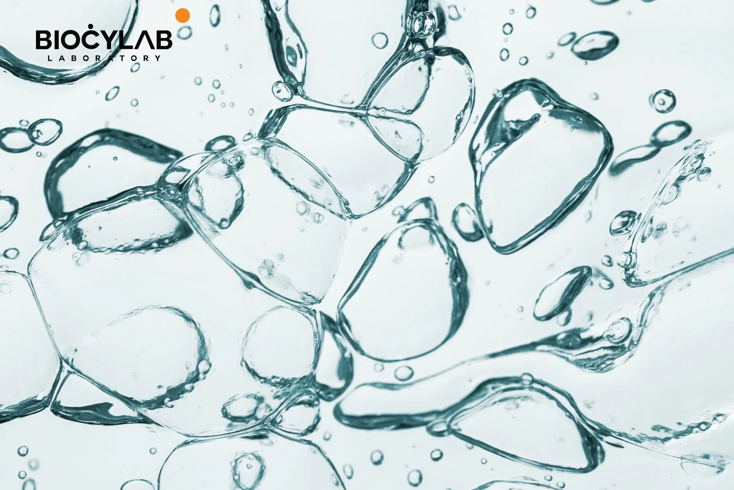 Biocylab, a cosmetics laboratory in Morocco, offers a white-label range based on salicylic acid