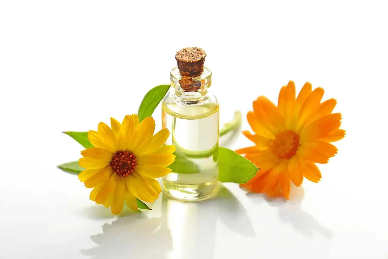 Calendula Extracts: Formulating Their Benefits in Natural Cosmetics