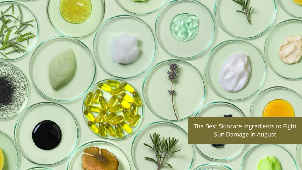 The Best Skincare Ingredients to Fight Sun Damage in August